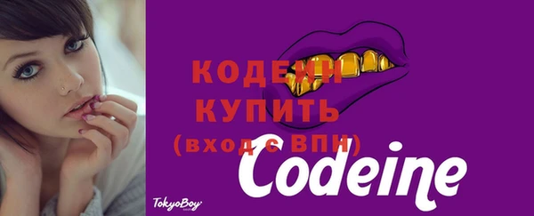 гидра Верея