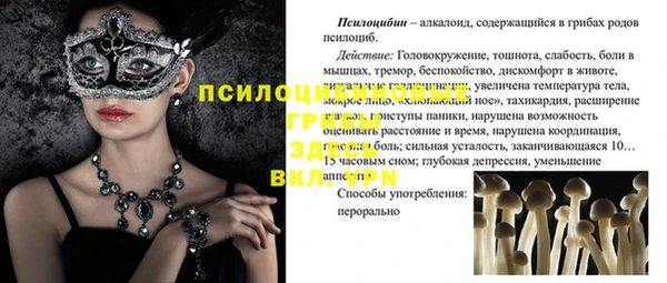 МДМА Бородино