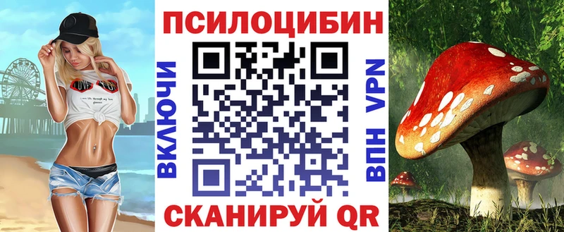 ОМГ ОМГ tor  Прокопьевск  Галлюциногенные грибы Cubensis 